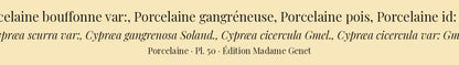 Cypræa scurra var:, Cypræa gangrenosa, Cypræa cicercula and Cypræa cicercula var: — Porcelaine bouffonne var:, Porcelaine gangréneuse, Porcelaine pois and Porcelaine id: var:, hand-engraved plate 50 from Kiener, Coquilles vivantes, Paris.
