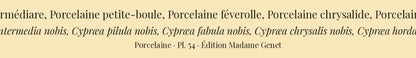 Cypræa intermedia, Cypræa pilula, Cypræa fabula, Cypræa chrysalis and Cypræa hordacea — Porcelaine intermédiare, Porcelaine petite-boule, Porcelaine féverolle, Porcelaine chrysalide and Porcelaine grain-d'orge, hand-engraved plate 54 from Kiener, Coquilles vivantes, Paris.