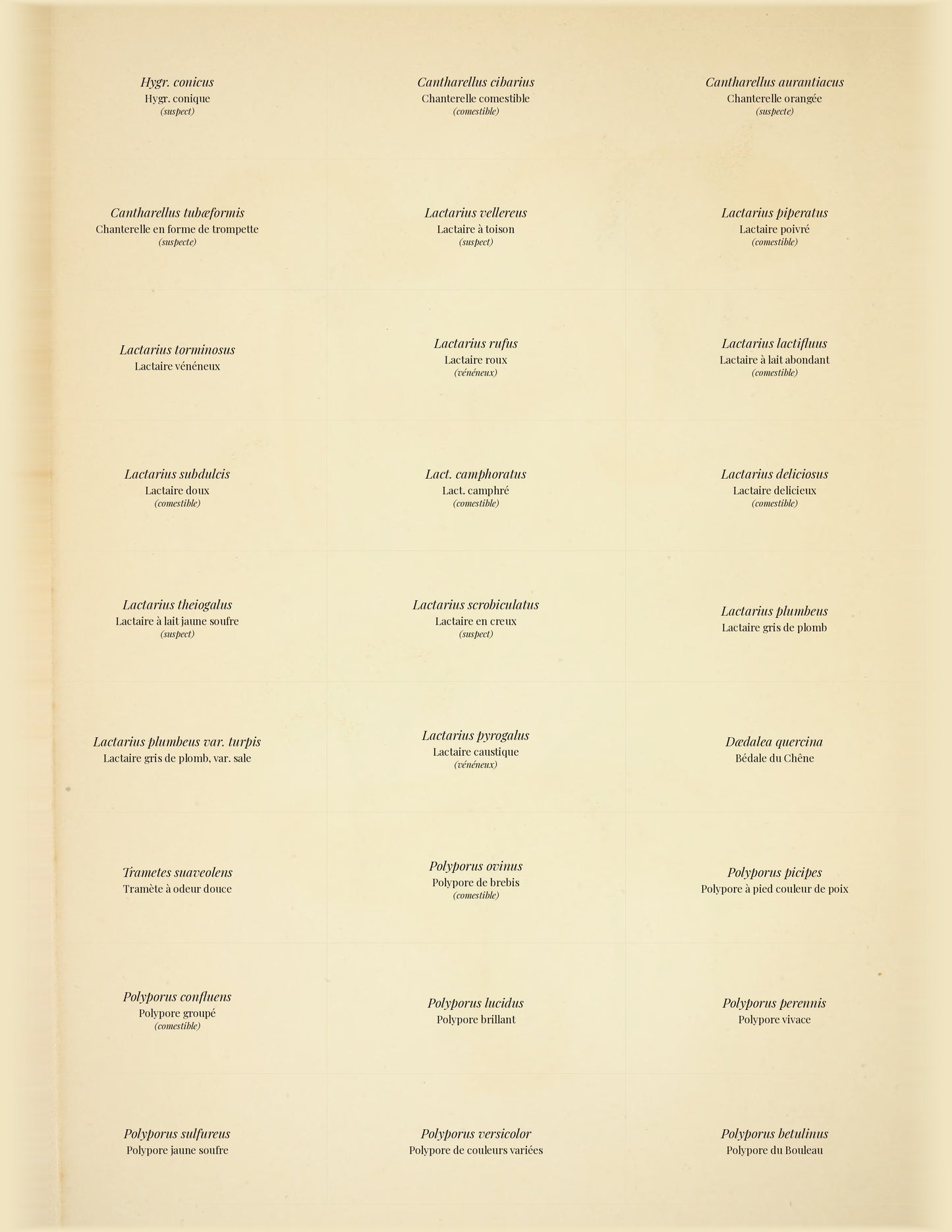 Comestibles & Vénéneux — 24 Mushroom Plates, Paris 1891