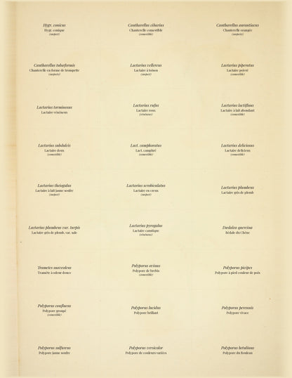 Comestibles & Vénéneux — 24 Mushroom Plates, Paris 1891