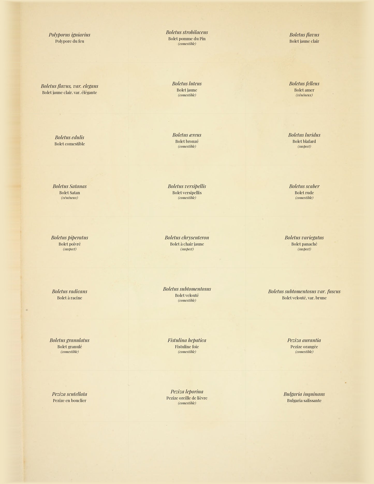 Comestibles & Vénéneux — 24 Mushroom Plates, Paris 1891