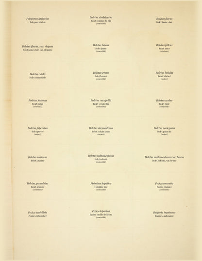 Comestibles & Vénéneux — 24 Mushroom Plates, Paris 1891