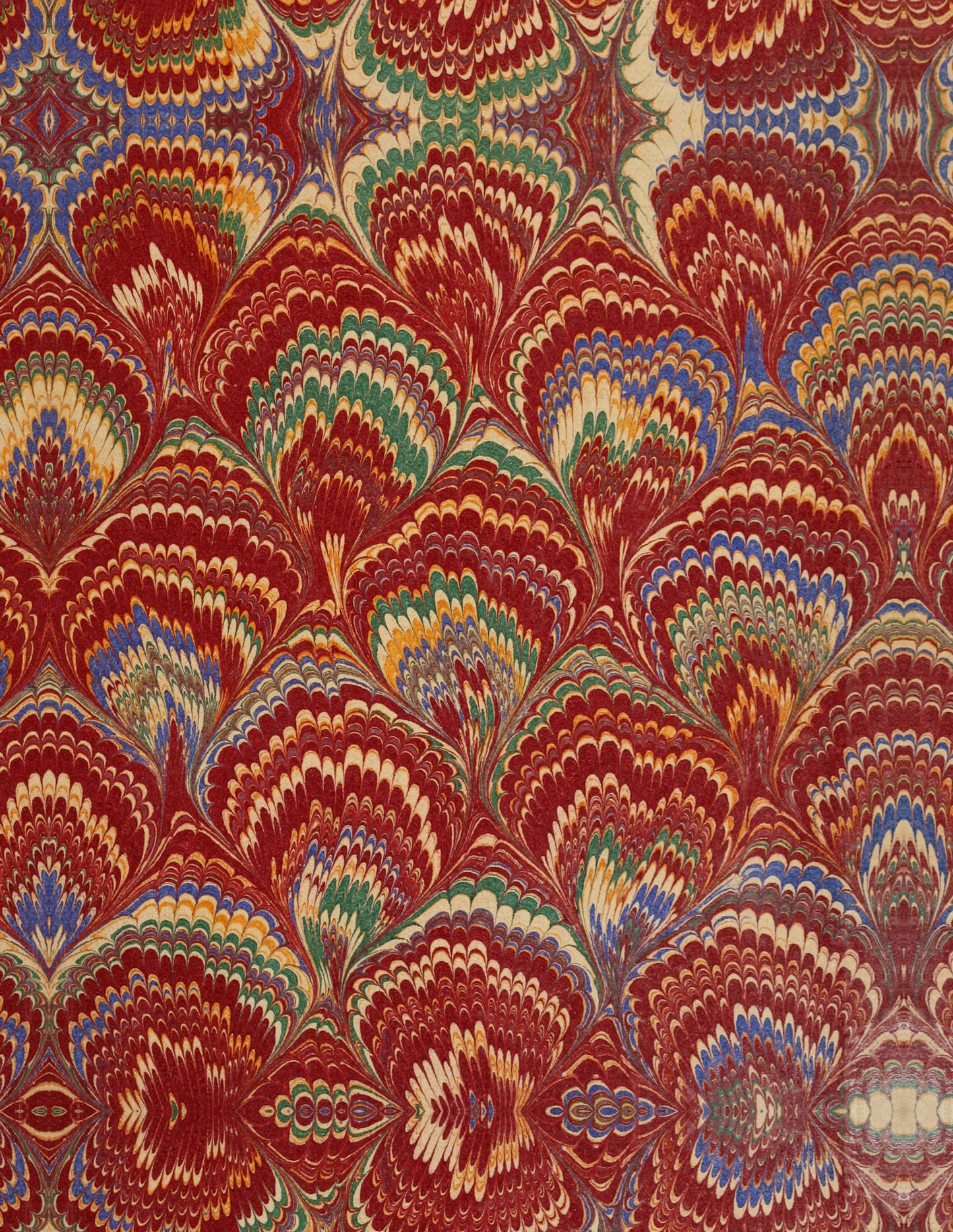 Comestibles & Vénéneux — 24 Mushroom Plates, Paris 1891