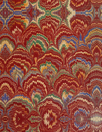 Comestibles & Vénéneux — 24 Mushroom Plates, Paris 1891